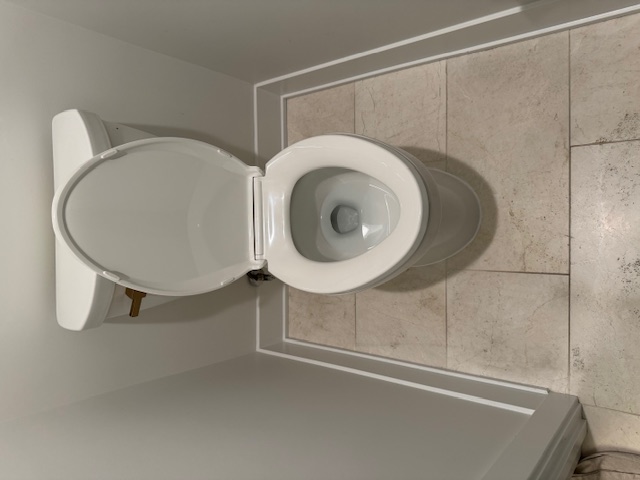 Toilet Flange Replacement in Elmhurst, IL